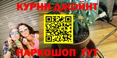 индика Будённовск